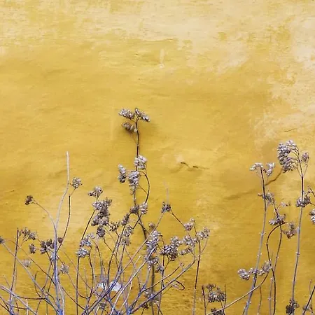 Apartment Rius33 - Huge & Spacious In Montjuic Barcelona